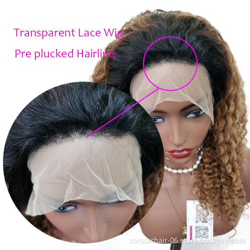 Full wig wholesale human hair vendors raw cambodian hair water wave hd lace frontal wig human hair curly lace front brown wigs